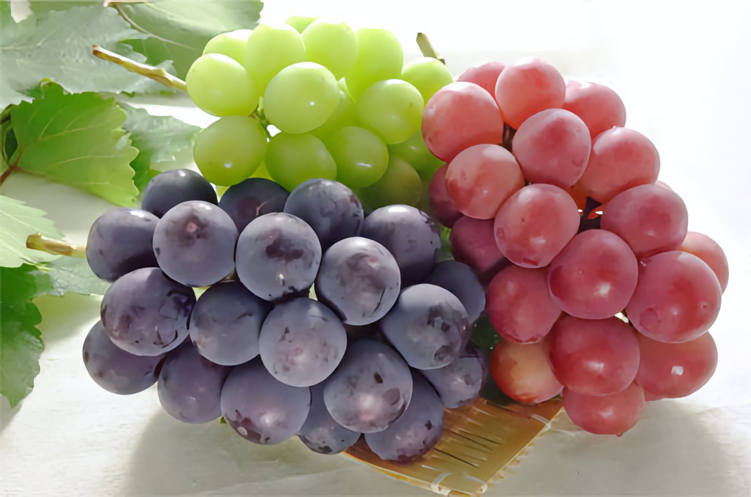 Japanese grapes