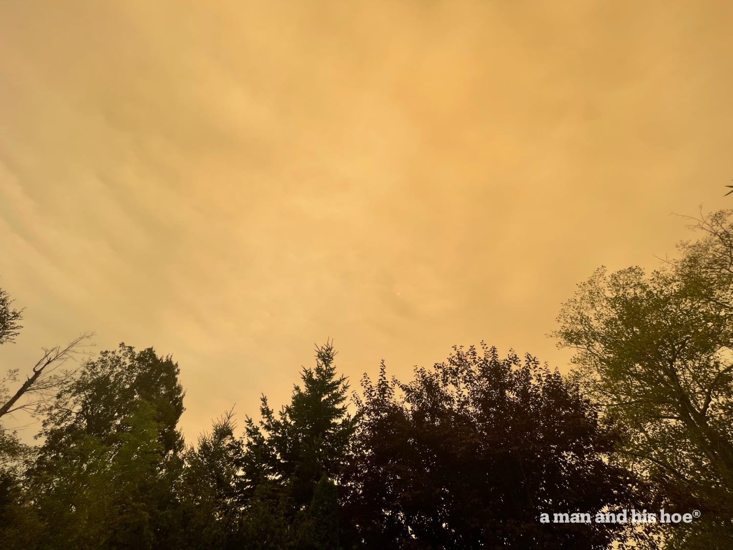 After skies, orange with smoke on September 10 make me want to cry.