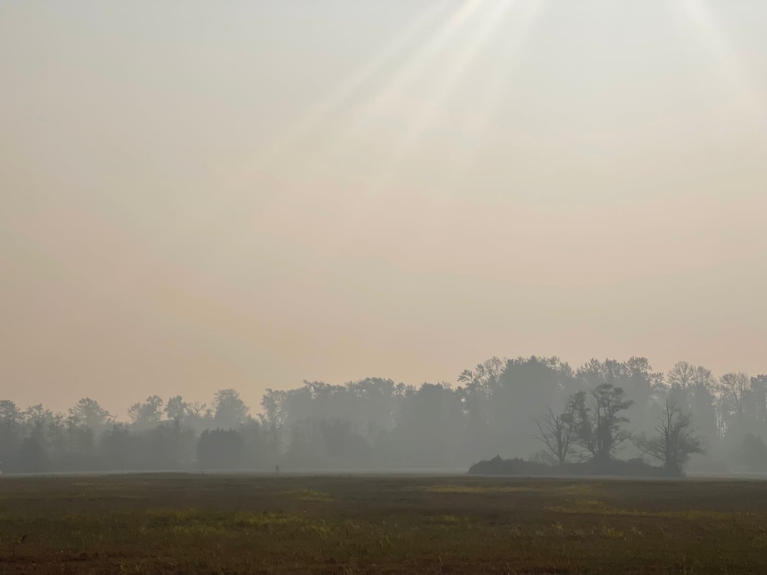 Smokey skies on October 19