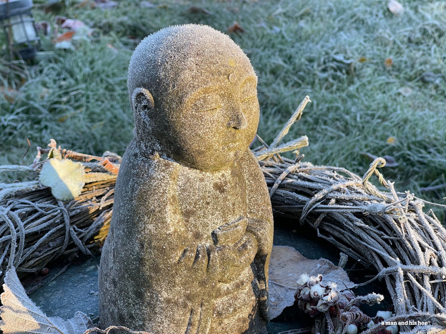 Buddha with frosty head