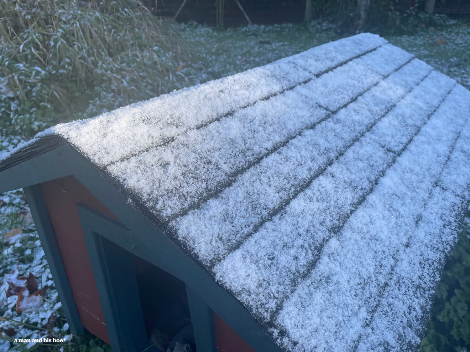 Snow on dog house