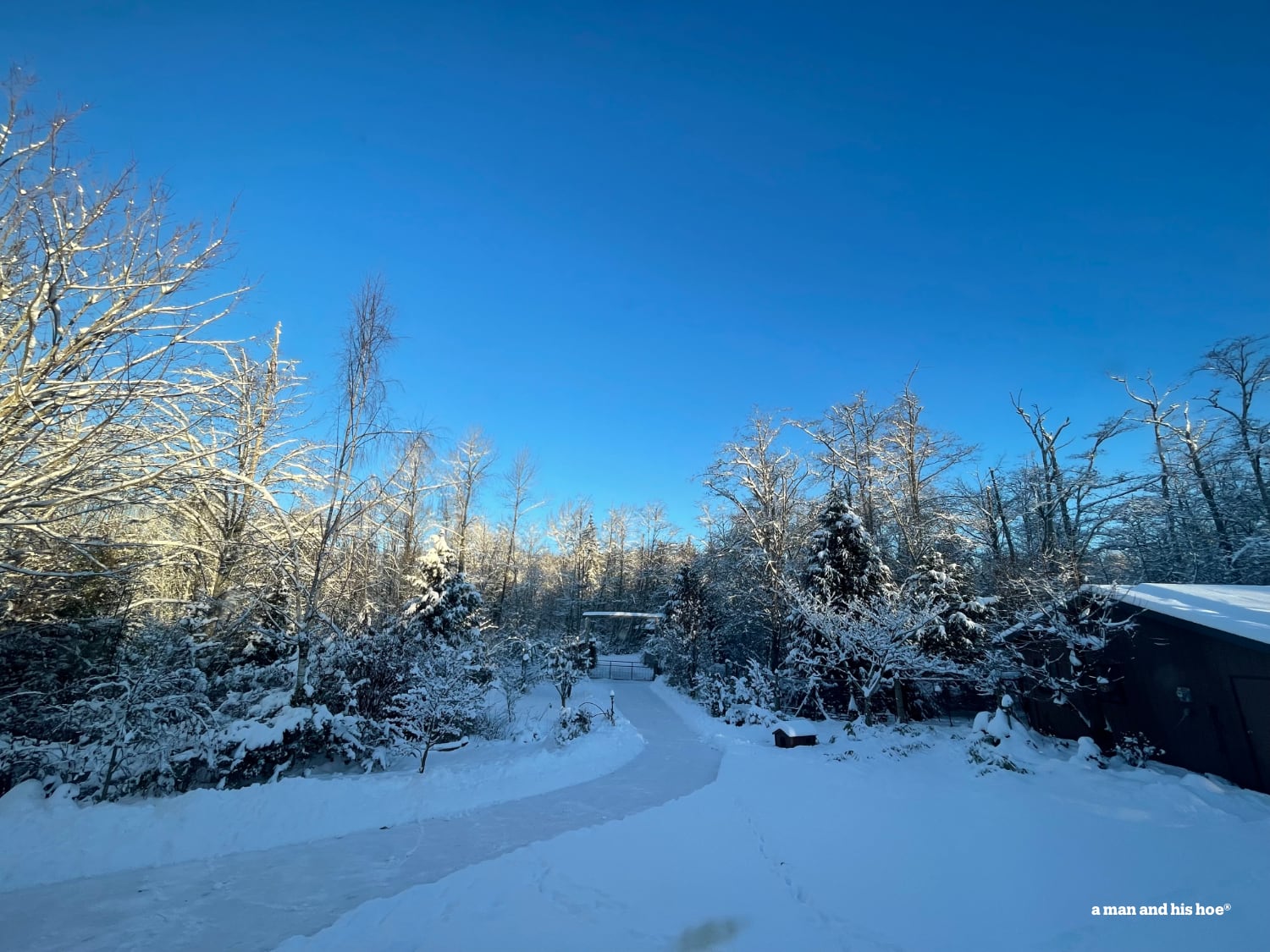 Coldest, shortest, whitest, bluest day of the year.