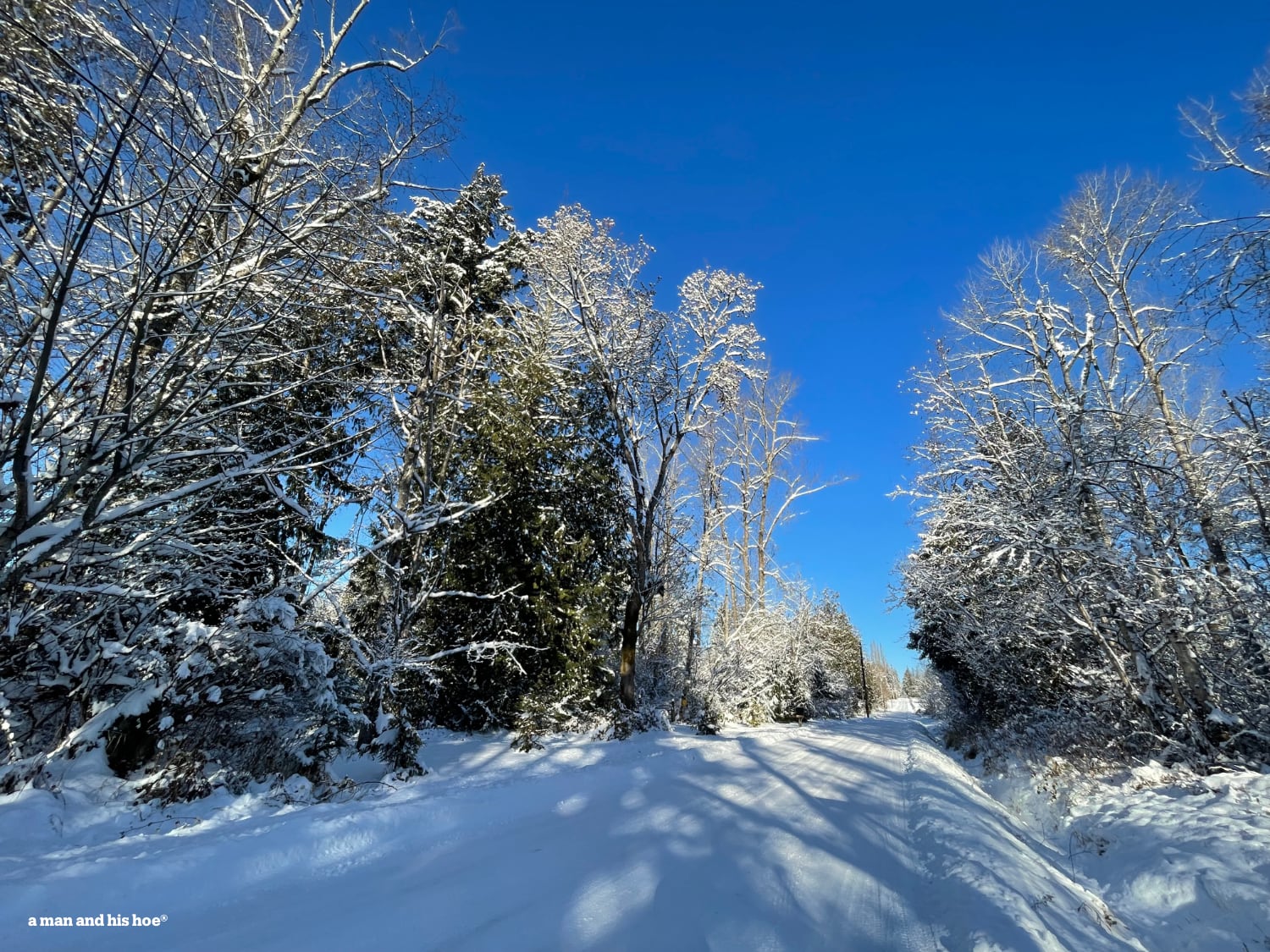 Snow lane