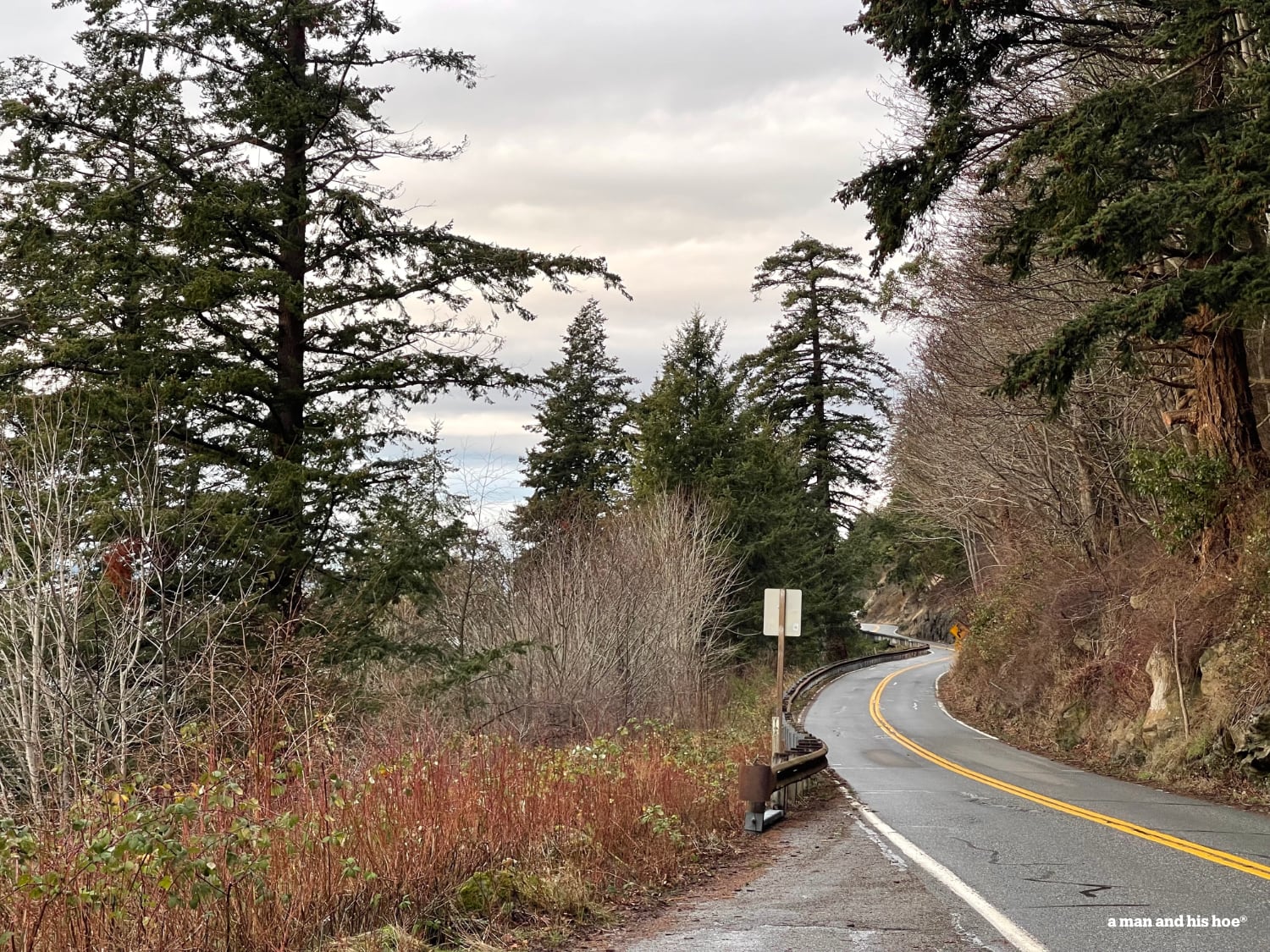 Chuckanut Drive