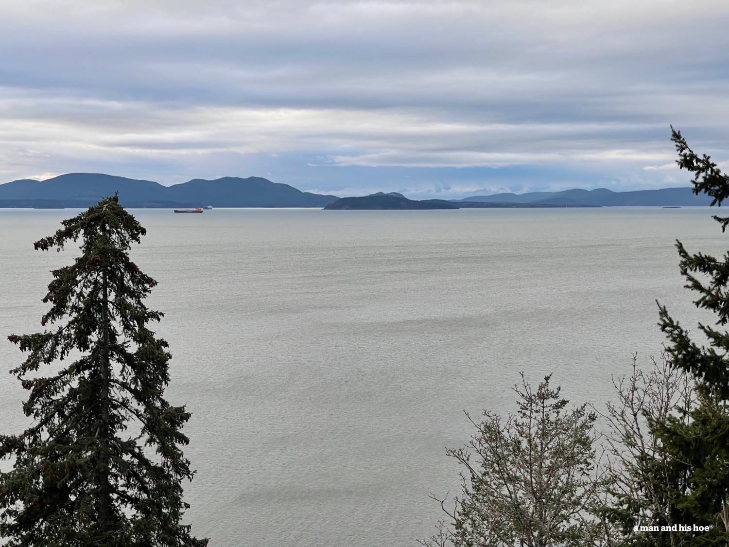 View above Samish Bay.