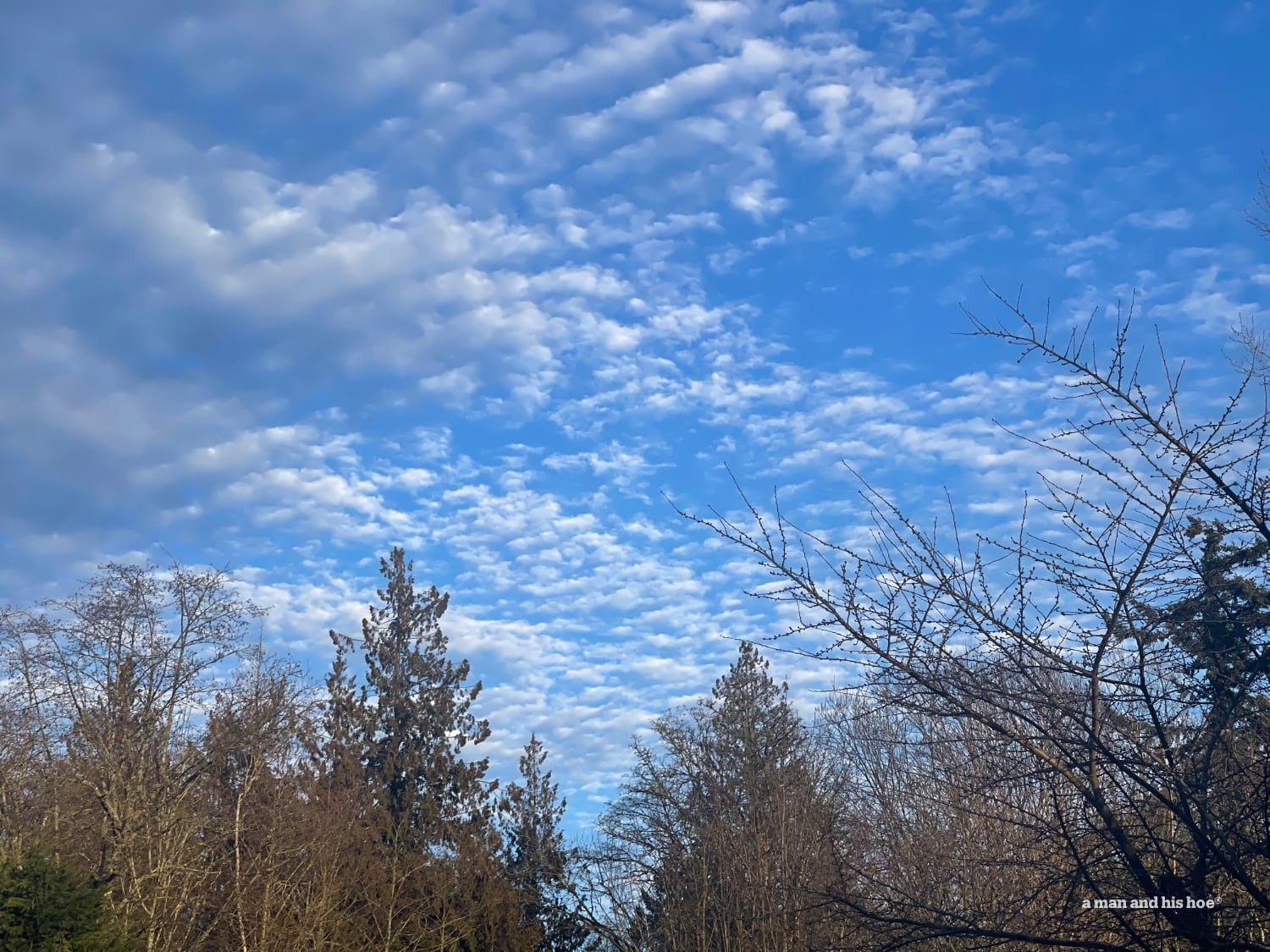 Early spring blue sky with dabbled clouds