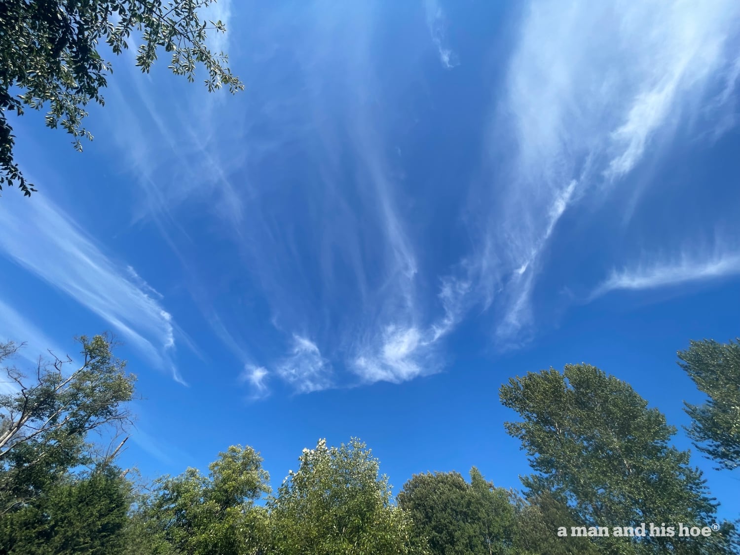 Wispy clouds in late July