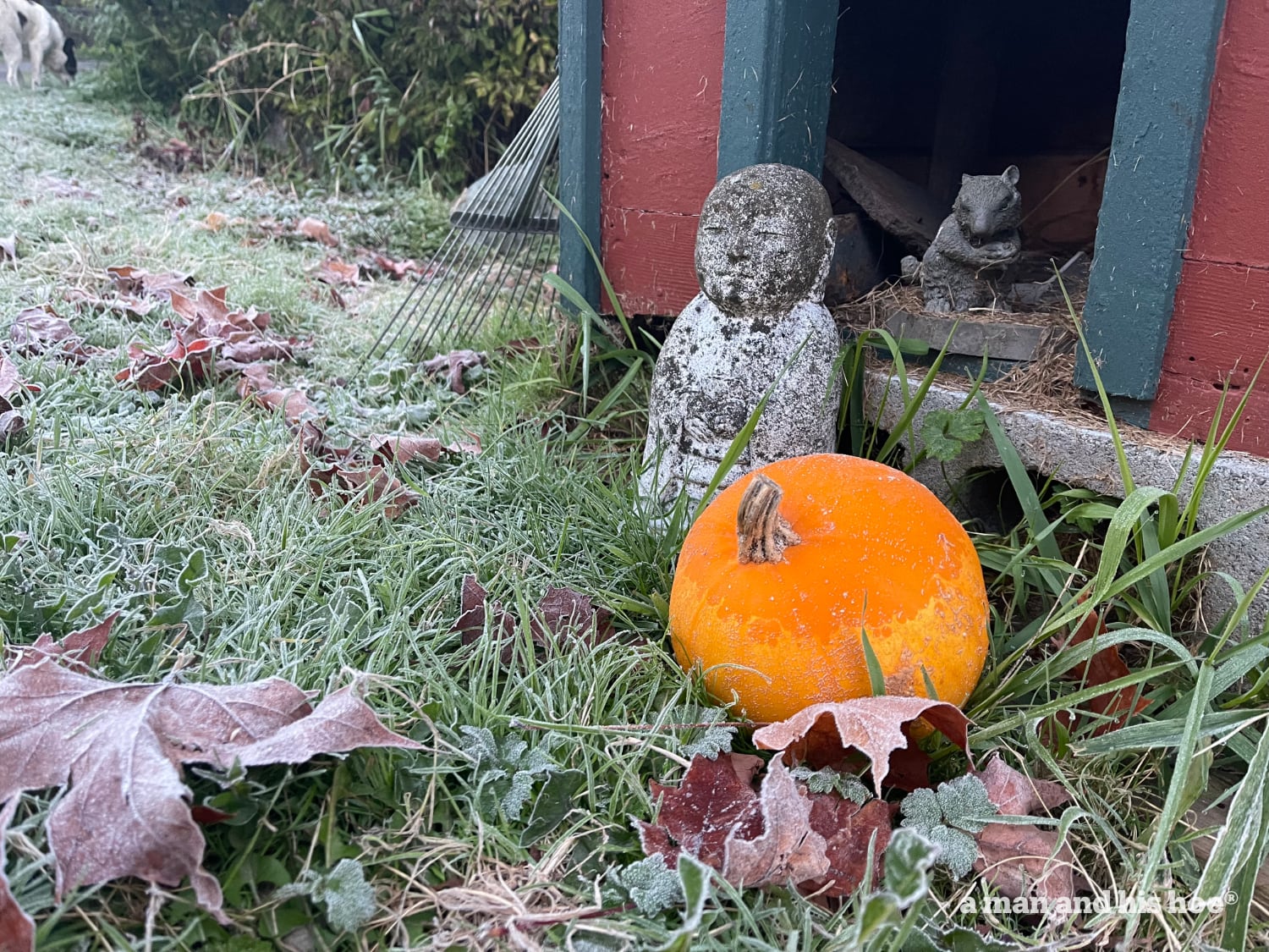 Buddha contemplating the first frost of the season.